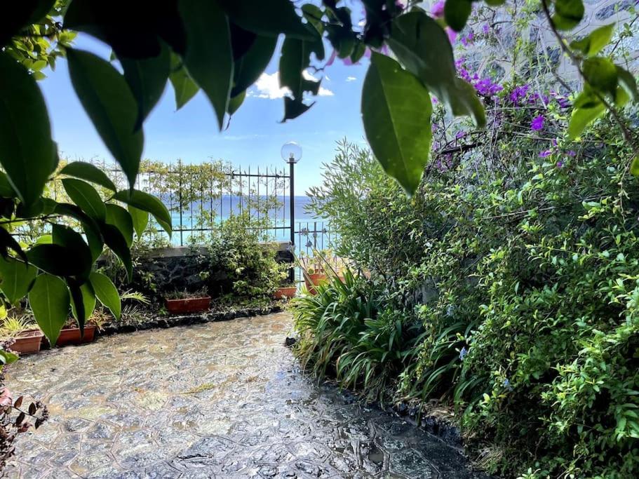 Ocean View Villa With Fast Wi-Fi And Elevator To Town Levanto Kültér fotó